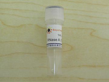 RNase A (10mg/ml)